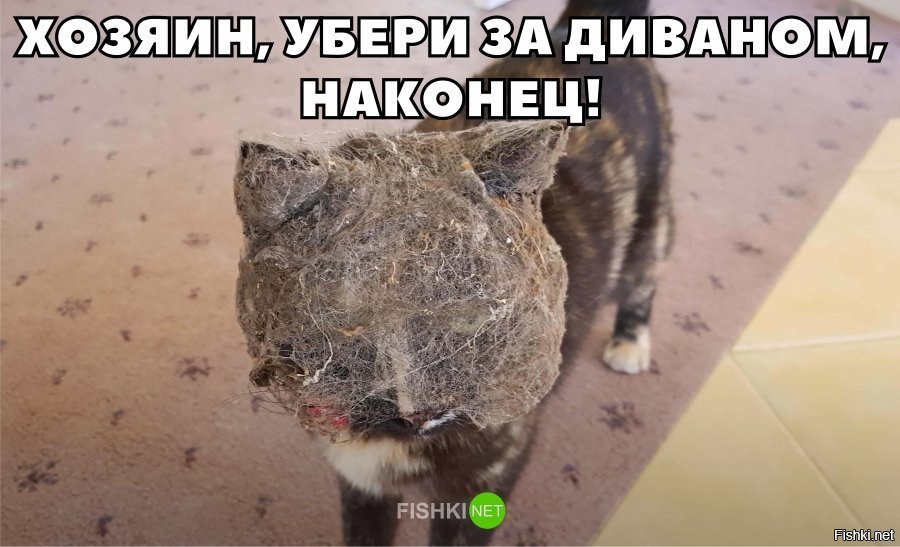 Убери на диване