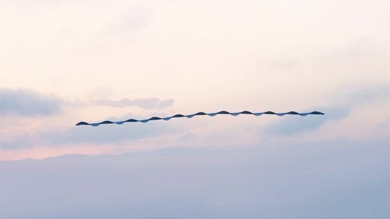 Фотограф показал, как в небе выглядят следы птиц
