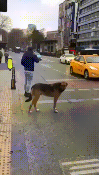 Подборка автомобильных гифок