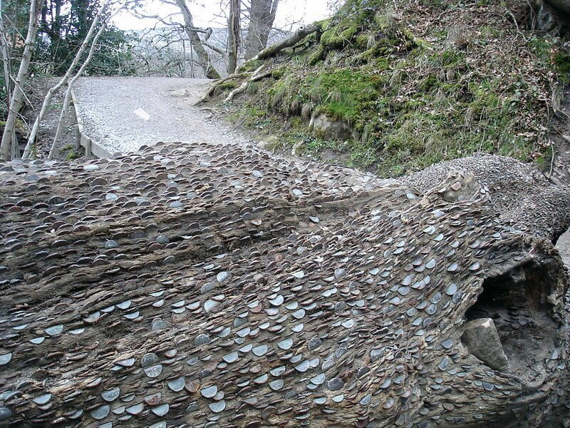 Кора срубленных деревьев (многие из них уже очень старые) буквально "окутана" сеткой из монет, которые жители вбивали при помощи молотков, камней и прочего подручного материала
