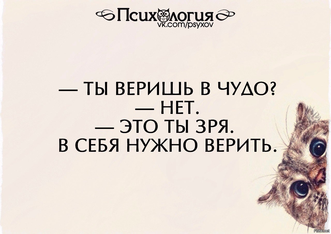 Чудо шутки