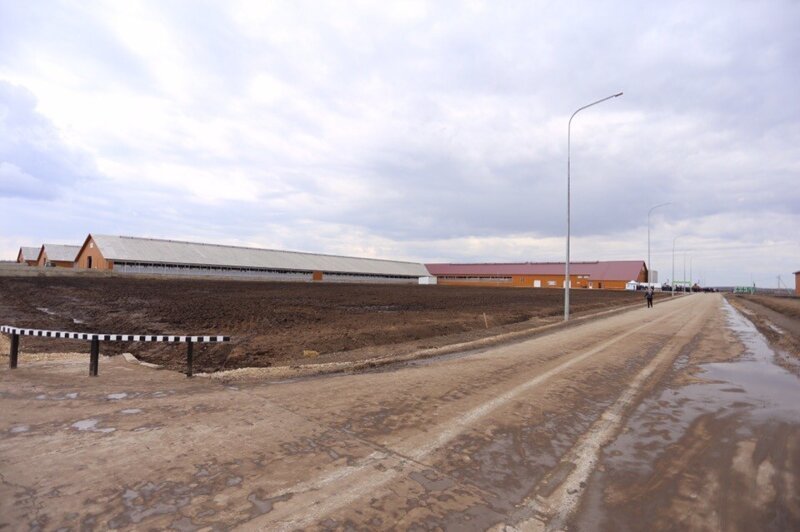 ЭкоНива запустила молочный комплекс на 2800 голов КРС в Рязанской области