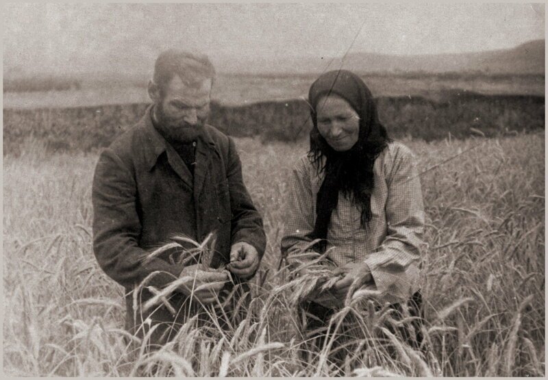 Дедушка с бабушкой в поле. 1950г.