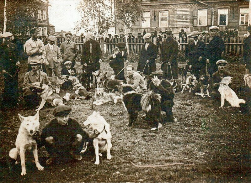 Выставка собак, 1928 год