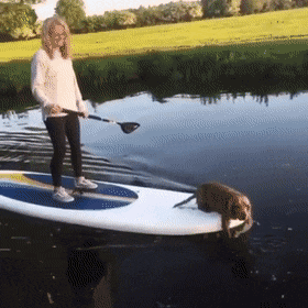 Гифки разные