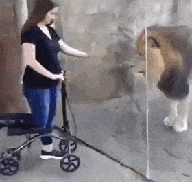 Гифки разные