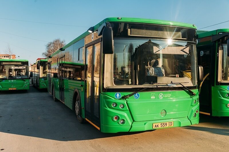 В Тюмень поступили 42 новых автобуса ЛиАЗ