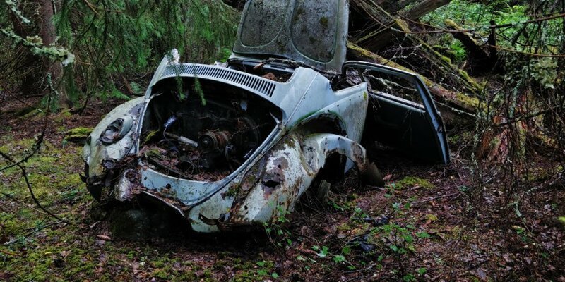 1. «Я 3 часа плутал по лесу и нашёл брошенную машину»