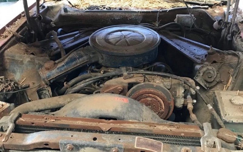 Ford Mustang с кузовом кабриолет простоял в сарае больше 30 лет