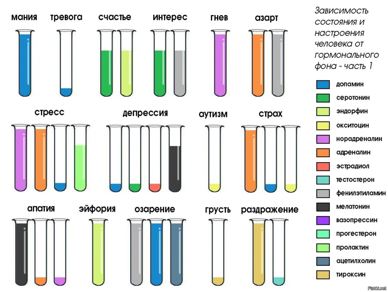 Какие вещества какого цвета. Зависимость состояния и настроения человека от гормонального фона. Химия эмоций. Гормоны и эмоции. Зависимость эмоций от гормонов.
