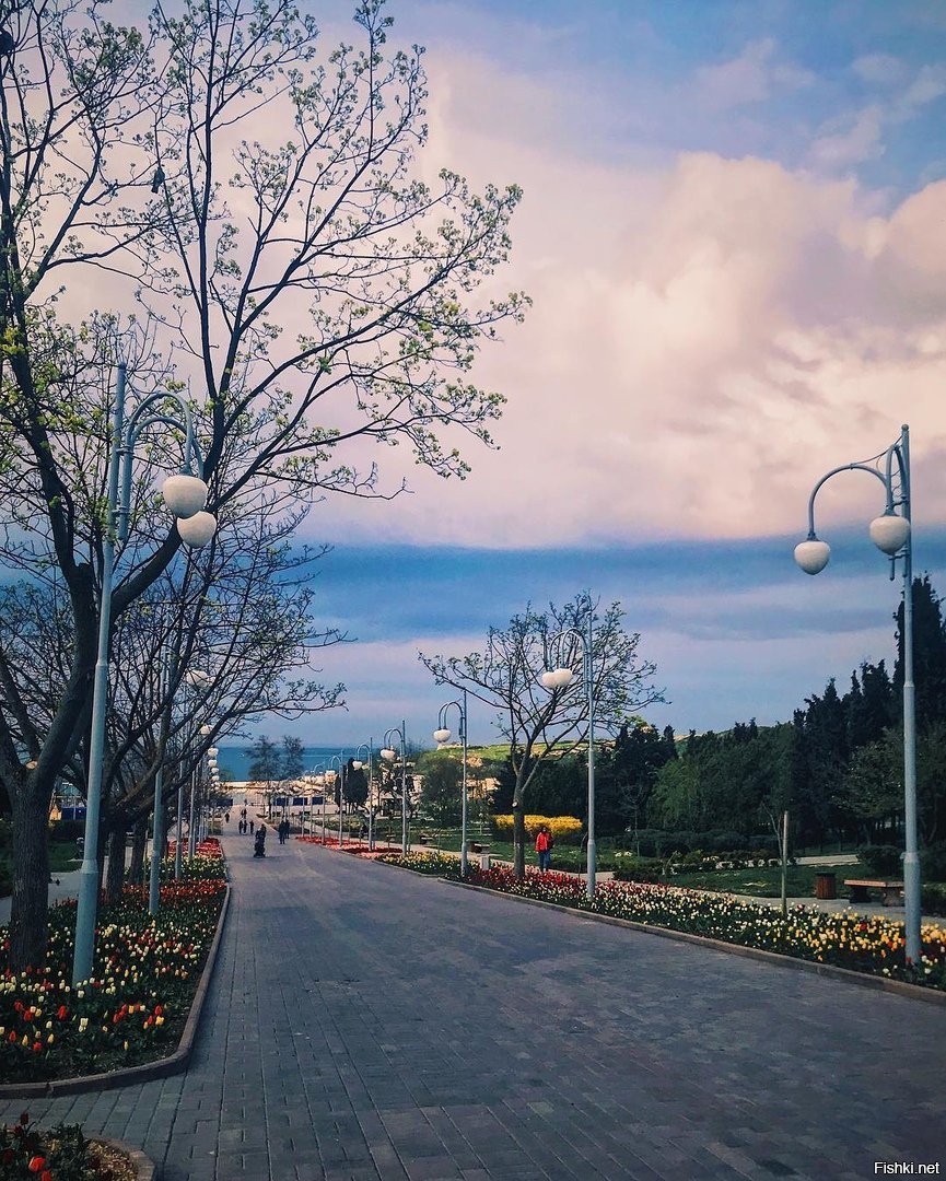 Фото севастополя парк ахматовой