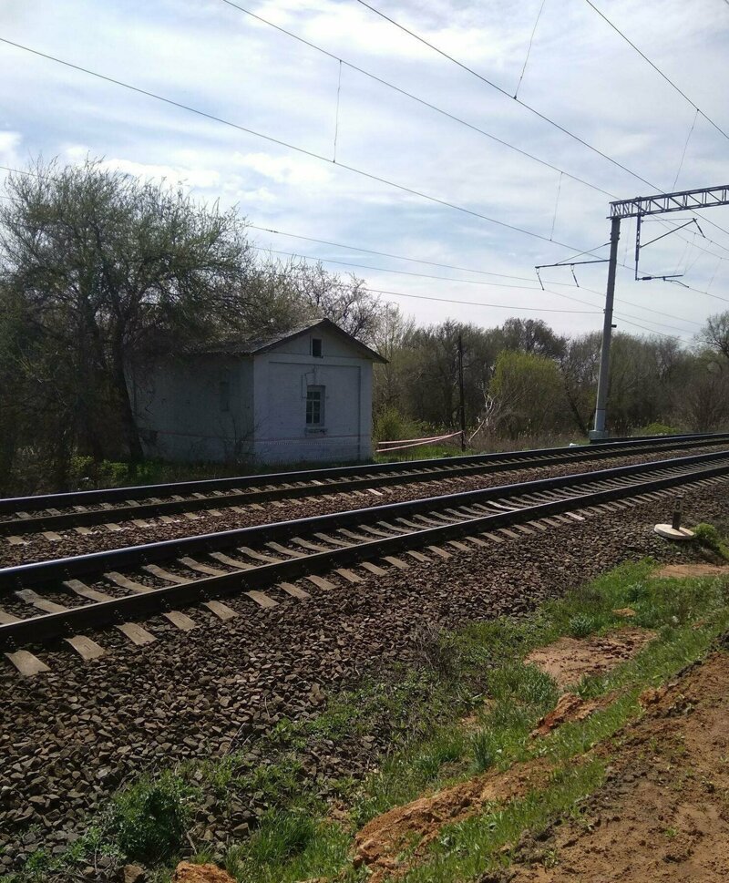 Змеи оккупировали железнодорожную станцию под Ростовом