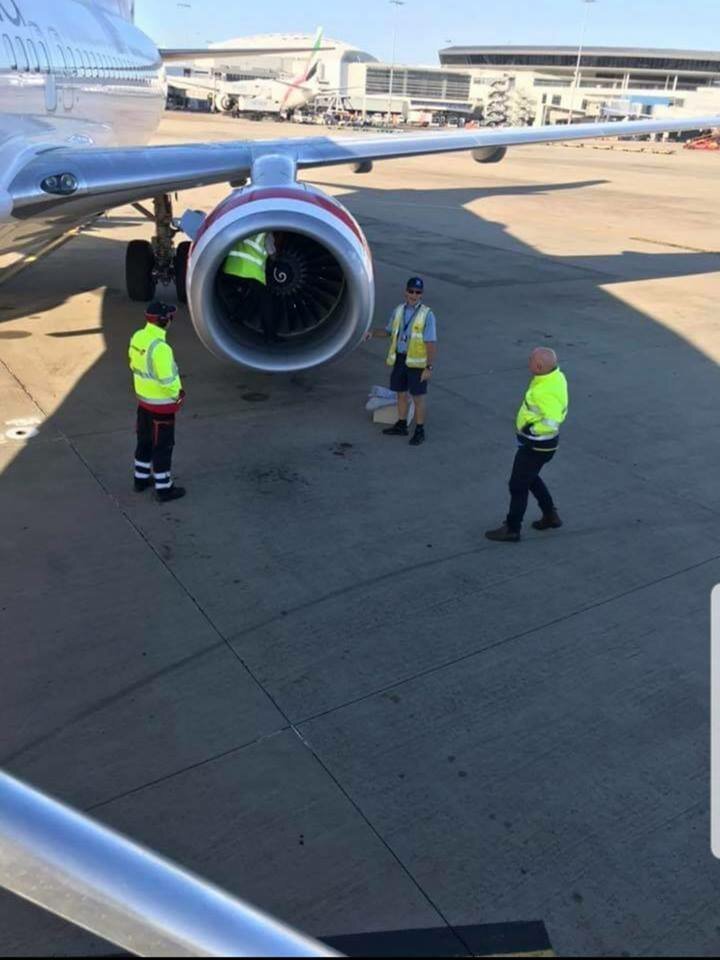 Сотрудники аэропорта случайно обнаружил сову, спящую в двигателе самолёта