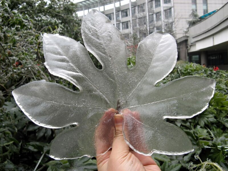Лёд в форме листа