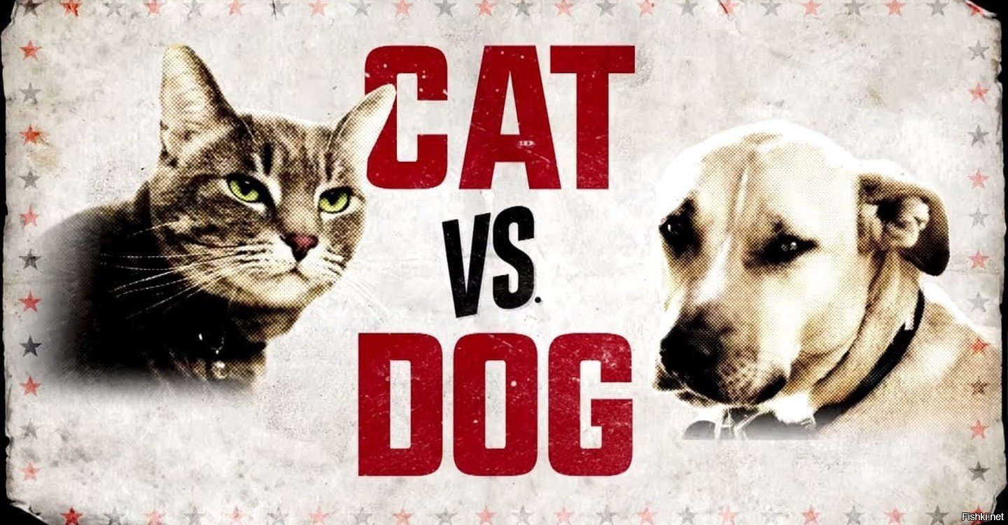 Люди против кошек. Коты vs собаки. Кот против собаки. Кошки vs собаки мемы. Против собак.