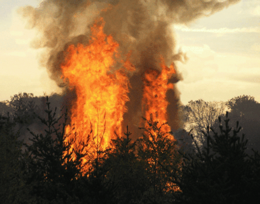 Гифки разные