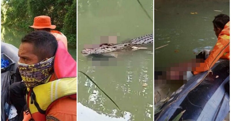 Крокодила-убийцу поймали с мертвым водолазом в пасти