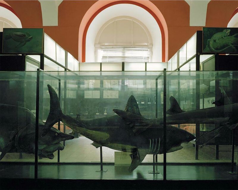 Потерянные во времени: фотографии из московских музеев