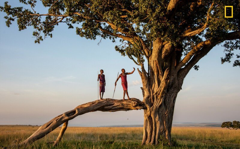 "Во время сафари в заповеднике Мара масаи решили показать нам утренний танец, я успела сфотографировать, как один из них делает селфи"