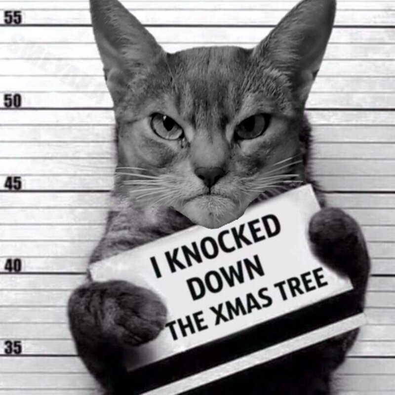 4. "Я уронил новогоднюю елку"