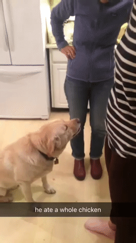 Для утреннего настроения