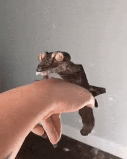 Подборка оригинальных гифок