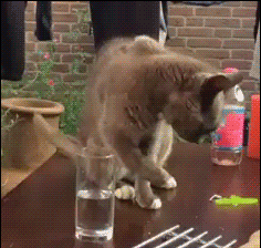 Для утреннего настроения