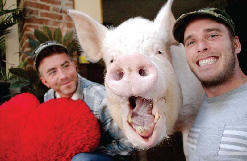 Но ещё до того, как Эстер подросла окончательно, Дерек и Стив поняли, что она — обычная свинья