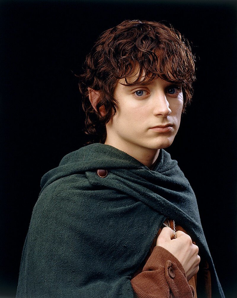 Фродо Бэггинс ( Властелин колец ).