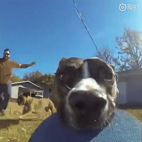 Прикольные гифки