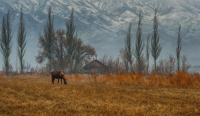 Природные, городские и индустриальные пейзажи Казахстана