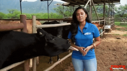 Гифки всякие