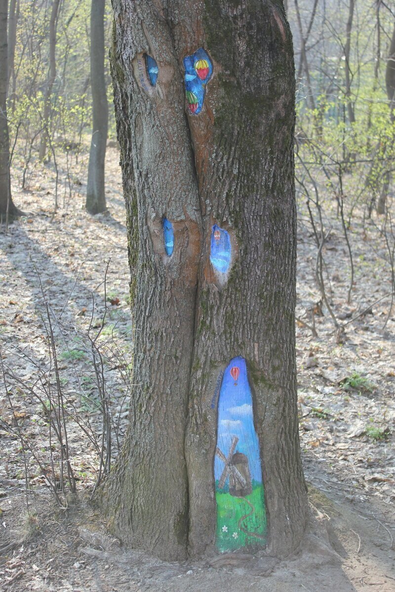 Картинки на деревьях