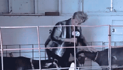 Гифки всякие