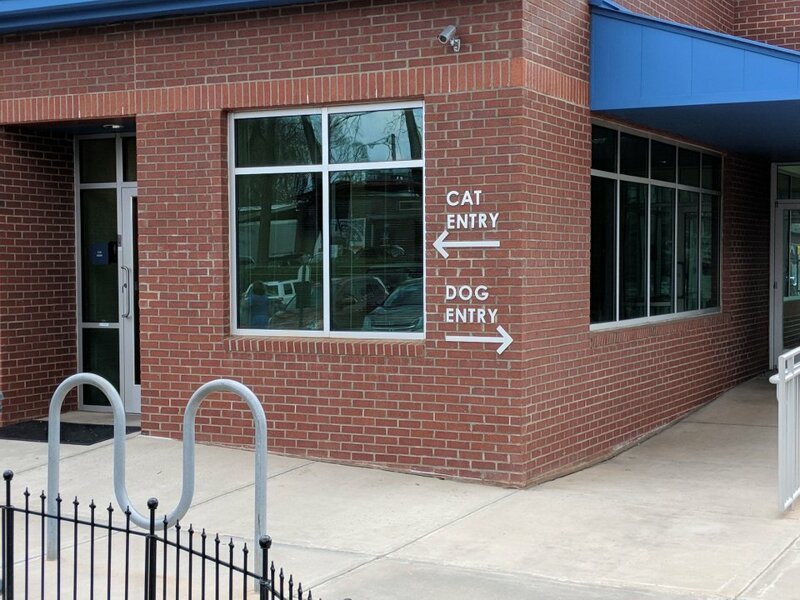 Ветеринарная клиника с двумя входами для владельцев кошек и собак