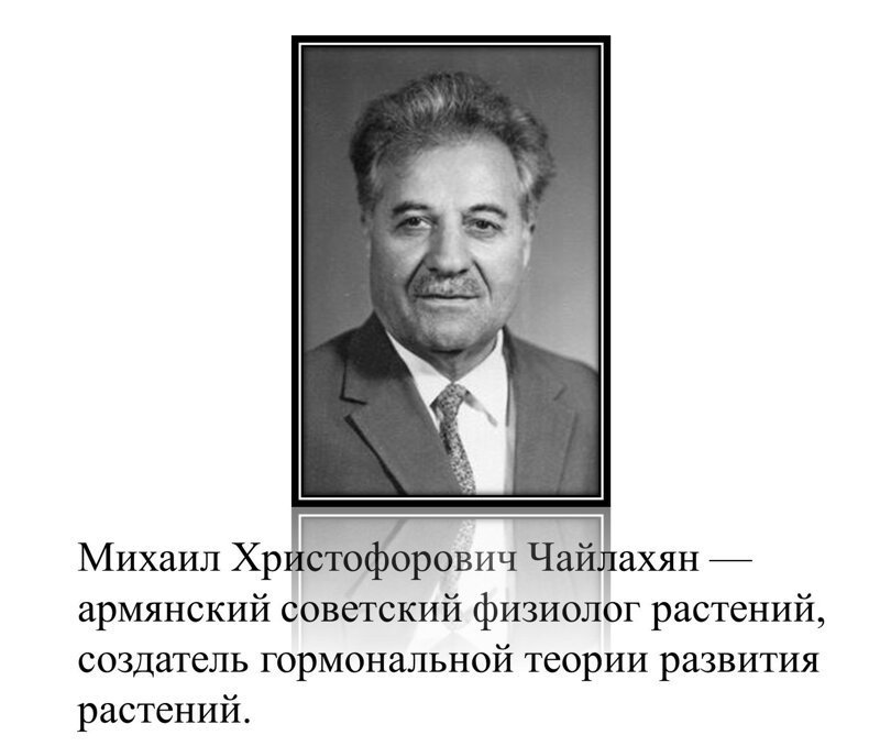 Михаил Чайлахян
