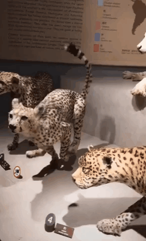 Подборка оригинальных гифок