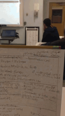 Подборка оригинальных гифок