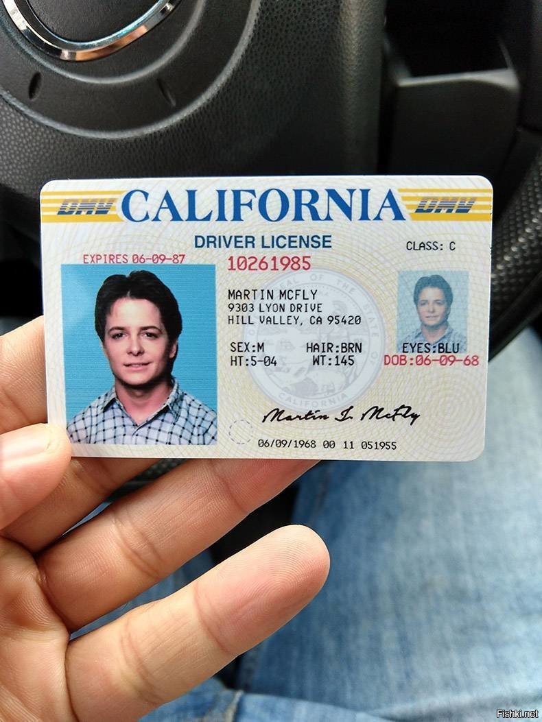 Driver s license. Фотографии американские водительских прав.