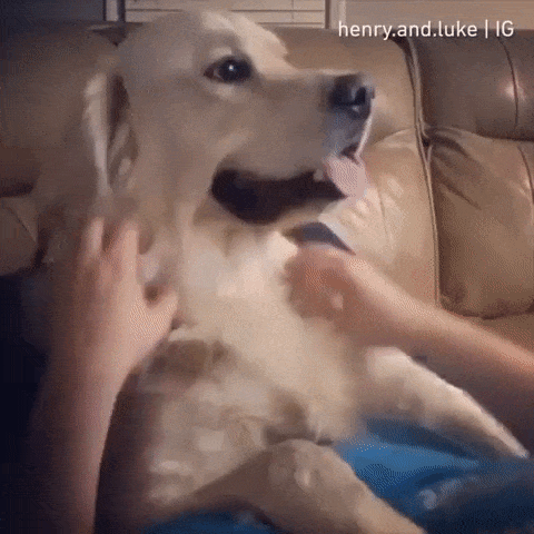 С добрым утром!