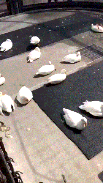 Подборка оригинальных гифок