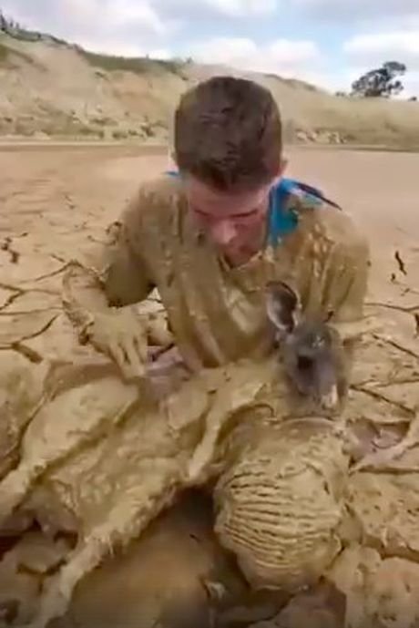 Австралийский подросток полез в грязь, чтобы спасти увязшего по уши кенгуренка