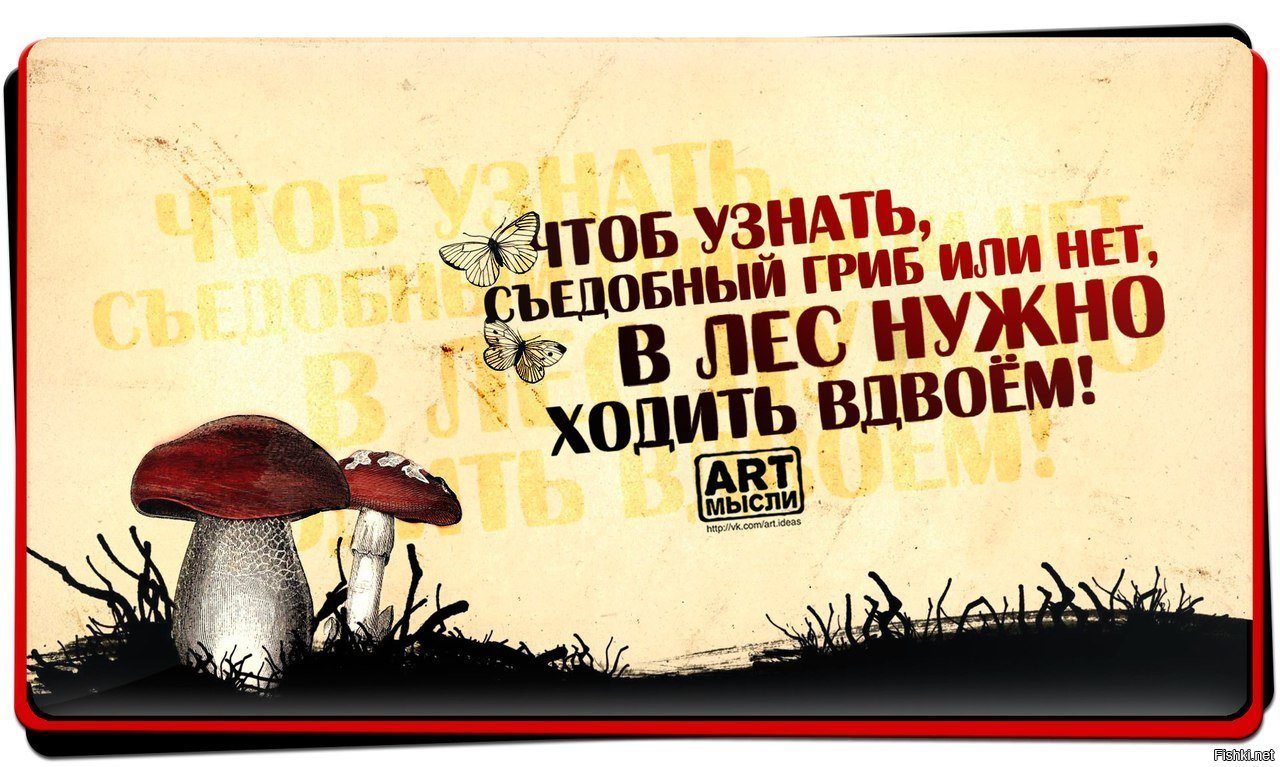 Веселые мысли картинки