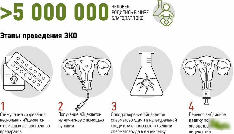 Кровь, сперма, волосы и яйцеклетка: сколько можно заработать, если продать себя по частям