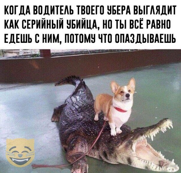 Картинки с надписями