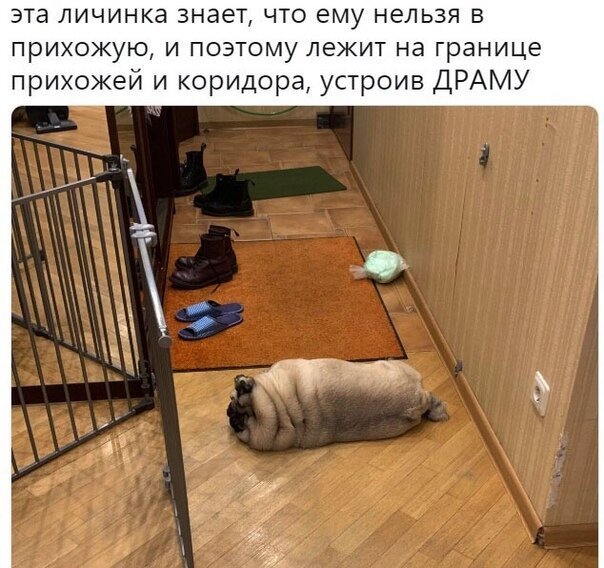 Картинки с надписями