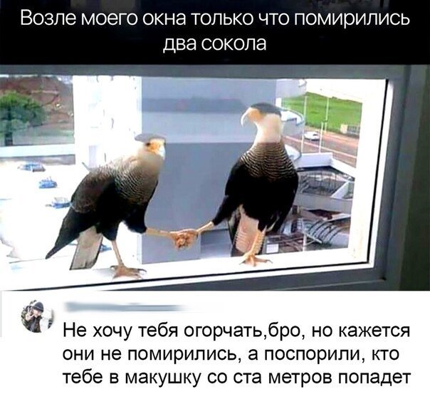 Картинки с надписями