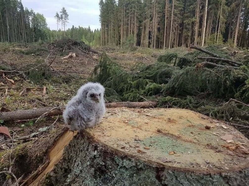 С добрым утром!