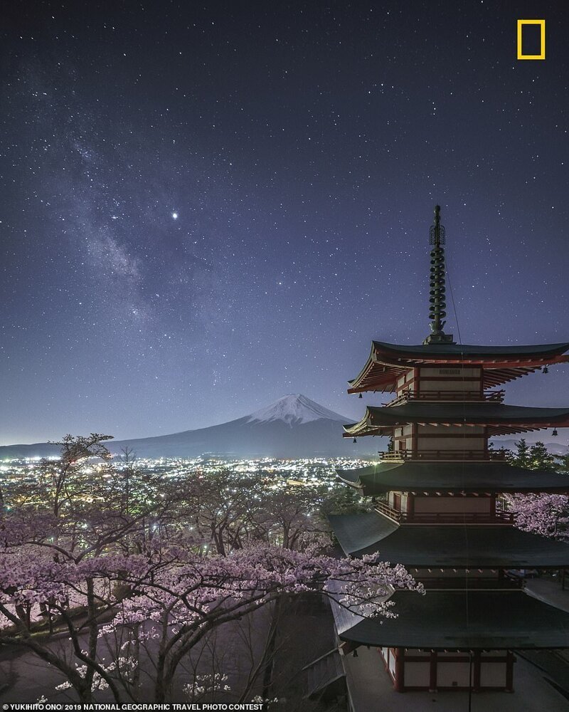 5. Млечный Путь над цветущей сакурой. Пагода Чурейто, Фудзисава, Япония. Фотограф - Юкихито Оно