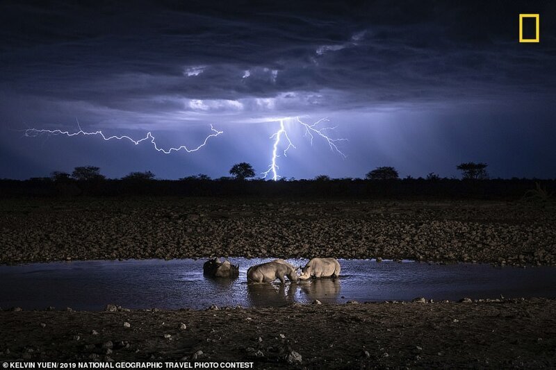1. Носороги на водопое. Фотограф - Кельвин Юэн